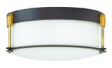 Flush Mounts Bowl Style by Hinkley ( 13 | 3233OZ Colbin ) 