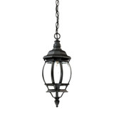 Exterior Hanging by Acclaim Lighting ( 106 | 5056BK Chateau ) 
