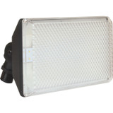Utility Incomplete by AFX Lighting ( 162 | TPDW4000L50BK Led Flood ) 