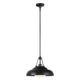 Pendants Metal Shade by Alora ( 452 | PD344014UBGO Palmetto ) 