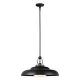 Pendants Metal Shade by Alora ( 452 | PD344020UBGO Palmetto ) 