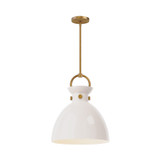 Pendants Metal Shade by Alora ( 452 | PD411814AGGO Waldo ) 