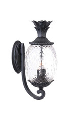 Exterior Wall Mount by Acclaim Lighting ( 106 | 7511BK Lanai ) 
