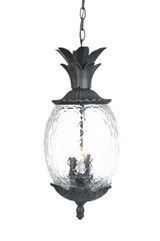 Exterior Hanging by Acclaim Lighting ( 106 | 7516BK Lanai ) 