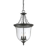 Foyer/Hall Lanterns Glass w/Frame by Acclaim Lighting ( 106 | 9316BK Belle ) 