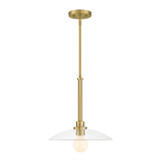 Pendants Glass Down by Designers Fountain ( 43 | D294M-14P-BG Litto ) 