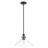 Pendants Glass Down by Acclaim Lighting ( 106 | IN20080BK Dwyer ) 