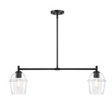 Linear/Island 2 Light Bar by Designers Fountain ( 43 | D310M-IS-MB Summer Jazz ) 
