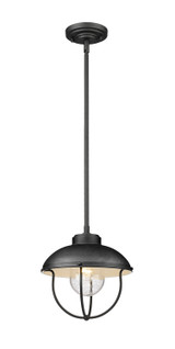 Exterior Hanging by Z-Lite ( 224 | 590P-BK Ansel ) 