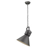 Pendants Metal Shade by Acclaim Lighting ( 106 | TP10026GY Crew ) 