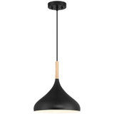 Pendants Metal Shade by Access ( 18 | 52086-BL/WGN Olivia ) 