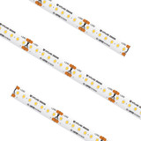 Specialty Items LED Tapes by American Lighting ( 303 | HTLHD-NW-16 High Density Tape ) 