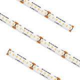 Specialty Items LED Tapes by American Lighting ( 303 | HTLHD-WW-100 High Density Tape ) 