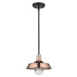 Exterior Hanging by Acclaim Lighting ( 106 | 1736CO Burry ) 