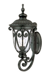 Exterior Wall Mount by Acclaim Lighting ( 106 | 2111BK Naples ) 