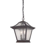 Exterior Hanging by Acclaim Lighting ( 106 | 39016BC Aiken ) 
