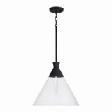 Pendants Glass Down by Capital Lighting ( 65 | 350311XK Paloma ) 