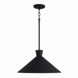 Pendants Metal Shade by Capital Lighting ( 65 | 350312XK Paloma ) 