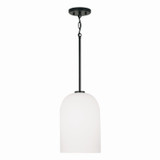 Mini Pendants Glass Down by Capital Lighting ( 65 | 348811MB Lawson ) 