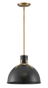 Pendants Metal Shade by Hinkley ( 13 | 3487SK Argo ) 