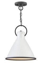 Pendants Metal Shade by Hinkley ( 13 | 3557PT Winnie ) 