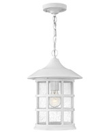 Exterior Hanging by Hinkley ( 13 | 1862TW Freeport Coastal Elements ) 
