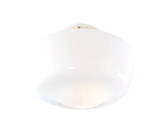 Shades Misc. Glass by Hunter ( 47 | 22515 Schoolhouse Globe ) 
