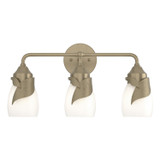 Bathroom Fixtures Three Lights by Hubbardton Forge ( 39 | 201352-SKT-84-GG0330 Lapas ) 