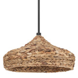Pendants Glass Down by Hunter ( 47 | 49028 Cambria ) 