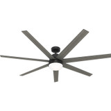 Fans Ceiling Fans by Hunter ( 47 | 51379 Phenomenon ) 