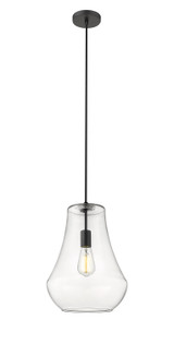 Mini Pendants Cable by Innovations ( 405 | 491-1P-BK-G572-12 Fairfield ) 