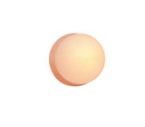 Sconces Single Glass by Justice Designs ( 102 | CER-3040-BSH Ambiance ) 