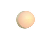 Sconces Single Glass by Justice Designs ( 102 | CER-3040-VAN Ambiance ) 