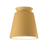Flush Mounts Directional by Justice Designs ( 102 | CER-6170-MYLW Radiance ) 