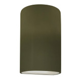 Exterior Wall Mt./Flush by Justice Designs ( 102 | CER-1260W-MGRN Ambiance ) 
