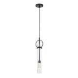 Mini Pendants Glass Down by Justice Designs ( 102 | FSN-4121-CLER-MBLK Textile ) 