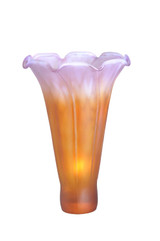 Shades Misc. Glass by Meyda Tiffany ( 57 | 10168 Amber/Purple Pond Lily ) 