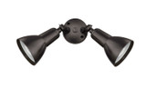 Exterior Spot Lights by Millennium ( 59 | 17002-PBZ ) 