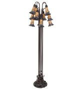 Lamps Floor by Meyda Tiffany ( 57 | 251700 Stained Glass Pond Lily ) 