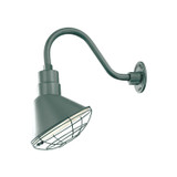 Exterior Wall Mount by Millennium ( 59 | RAS10-SG R Series ) 