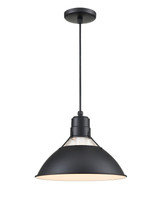 Pendants Metal Shade by Millennium ( 59 | RGCC13-SB R Series ) 