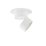 Flush Mounts Directional by Maxim ( 16 | 86240WT Swinger ) 