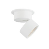 Flush Mounts Directional by Maxim ( 16 | 86242WT Swinger ) 
