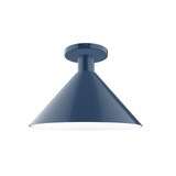 Semi-Flush Mts. Glass Down by Montclair Light Works ( 518 | FMDX466-50 Chase ) 
