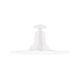 Exterior Ceiling Mount by Montclair Light Works ( 518 | FMB159-44-G06 Radial ) 