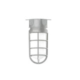 Exterior Ceiling Mount by Montclair Light Works ( 518 | FMC050-49 Vaportite ) 