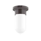 Flush Mounts Glass Down by Montclair Light Works ( 518 | FME040-51 Gambler ) 
