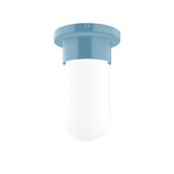 Flush Mounts Glass Down by Montclair Light Works ( 518 | FME040-54 Gambler ) 