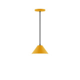Mini Pendants Cable by Montclair Light Works ( 518 | PEB421-21-C22-L10 Pinnacle ) 