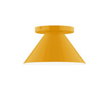 Flush Mounts Glass Down by Montclair Light Works ( 518 | FMD421-21-L10 Pinnacle ) 